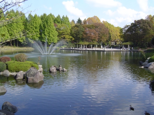 宇都宮市にある栃木県中央公園でも、回想シーンの撮影が行われました