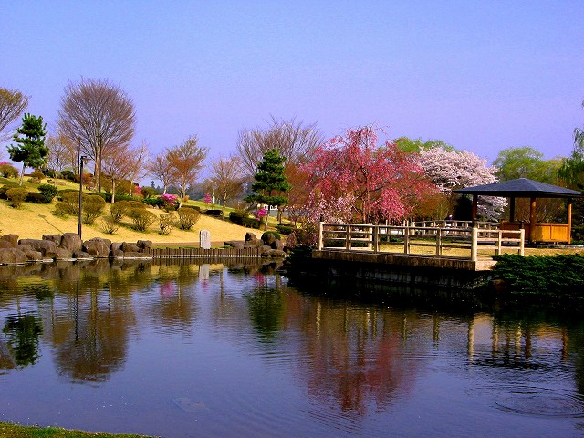 大池と日本庭園