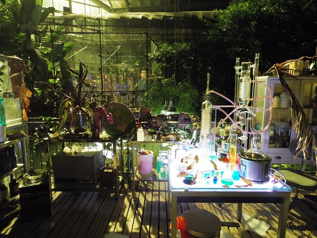 栃木市/とちぎ花センターの鑑賞大温室内にセットを設置しての撮影