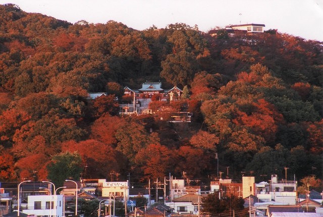 市内から見た織姫神社