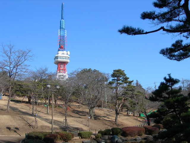八幡山公園のシンボル宇都宮タワー