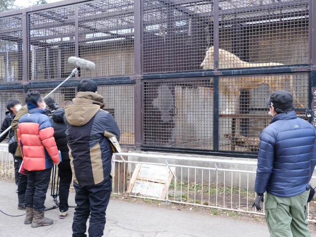 宇都宮動物園ロケ風景３：インサート用の撮影では園内の動物たちが大活躍！カメラへのアピールはばっちりです！