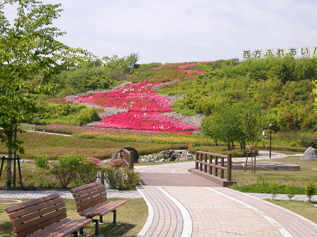公園自慢の「花の滝」