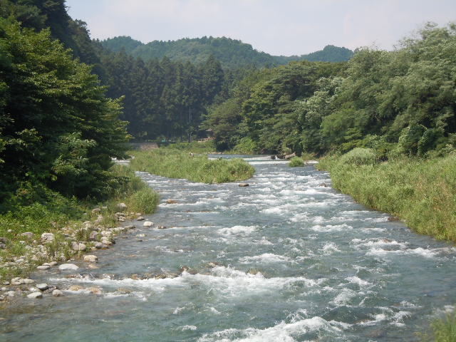 大芦川を正面から撮影可能です。